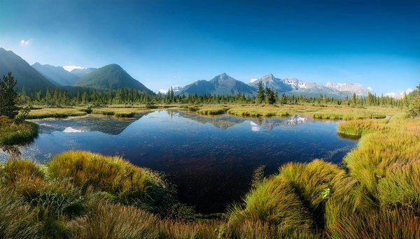 Quels sont les meilleurs spots pour une plongée sous-marine en Thaïlande?